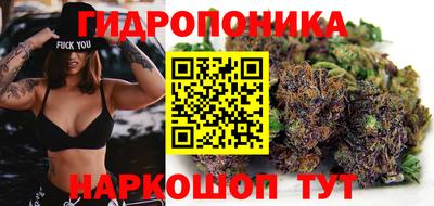 крисы Краснознаменск