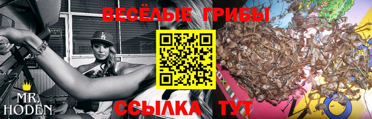 Псилоцибиновые грибы Magic Shrooms Тольятти